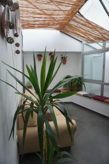 Casa Marcur Santa Cruz Villa Sevilla Eksteriør bilde